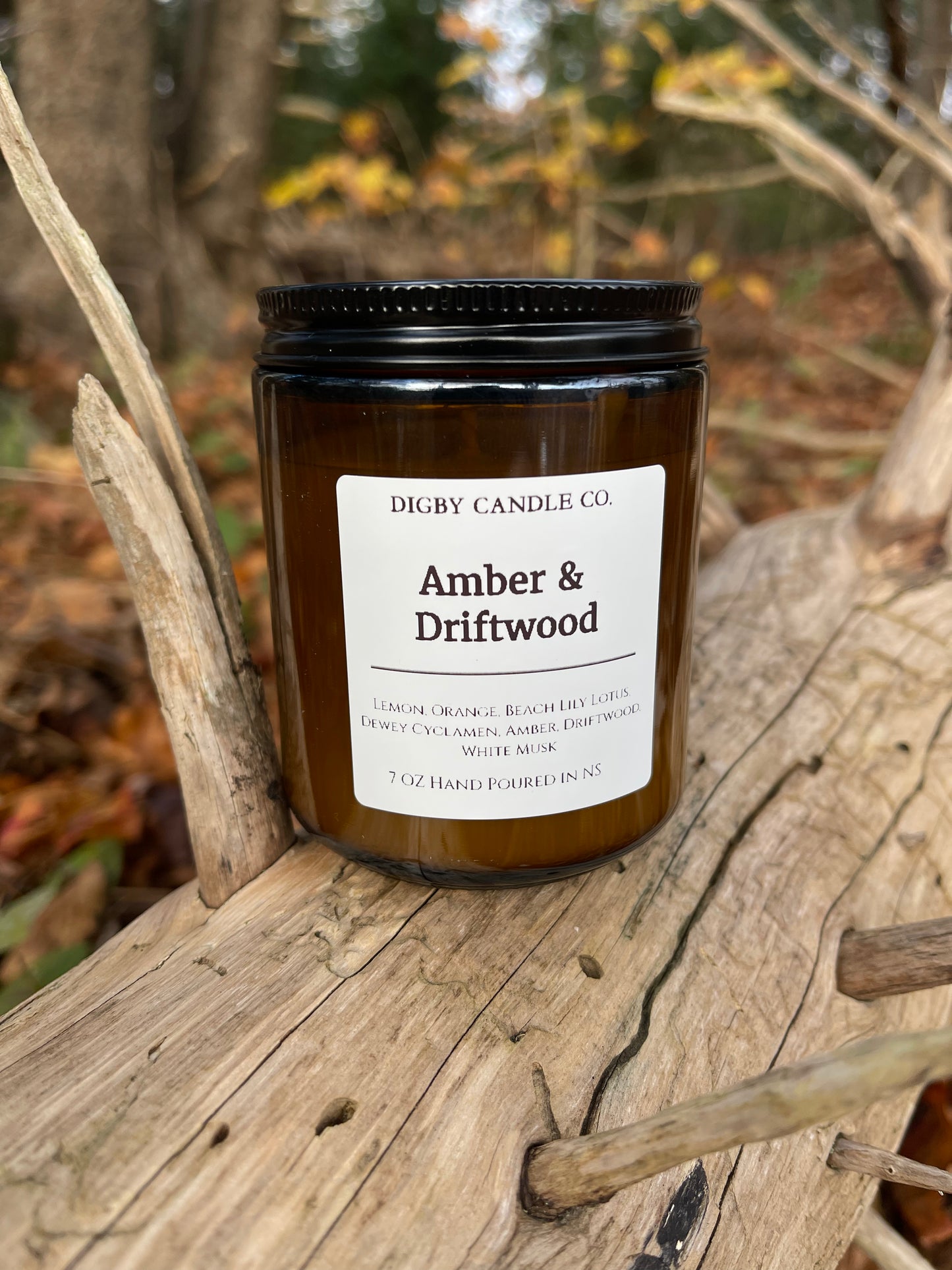 Amber & Driftwood