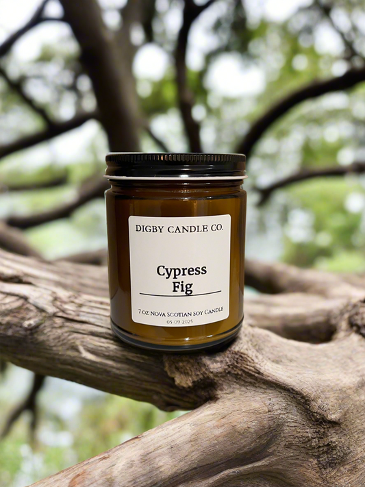 Cypress Fig
