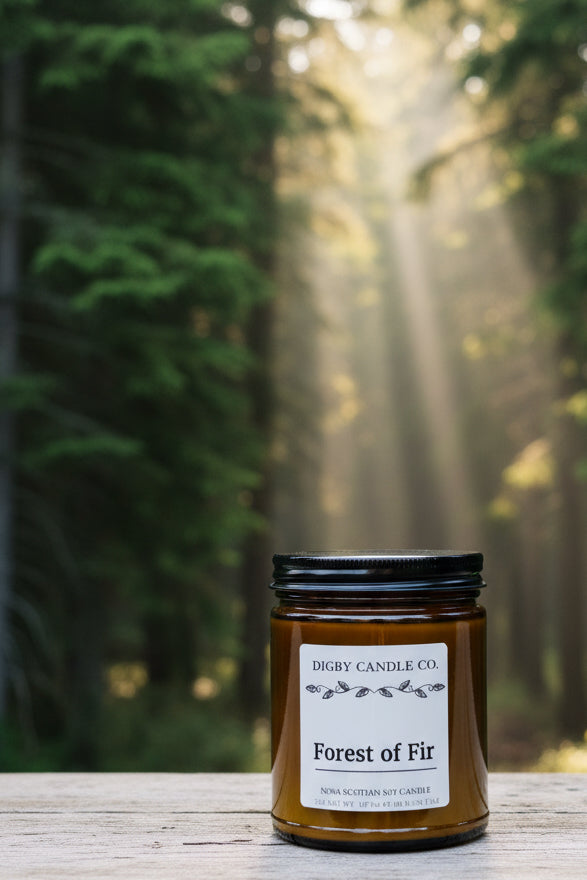 Forest of Fir
