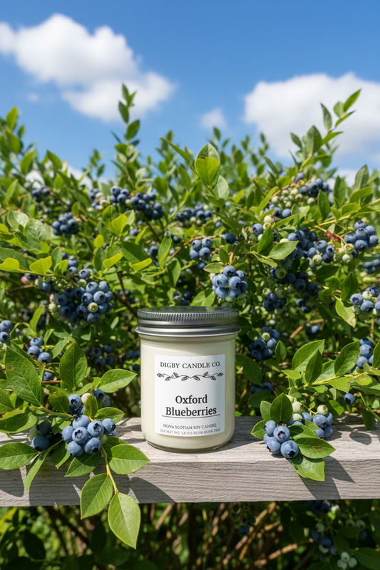 Oxford Blueberries
